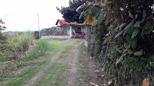 Finca Cafetera