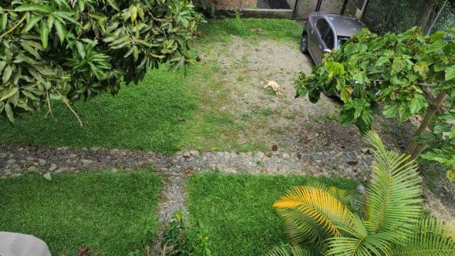 Vendo Finca en el Municipio de Liborina a 6 minutos del Pueblo