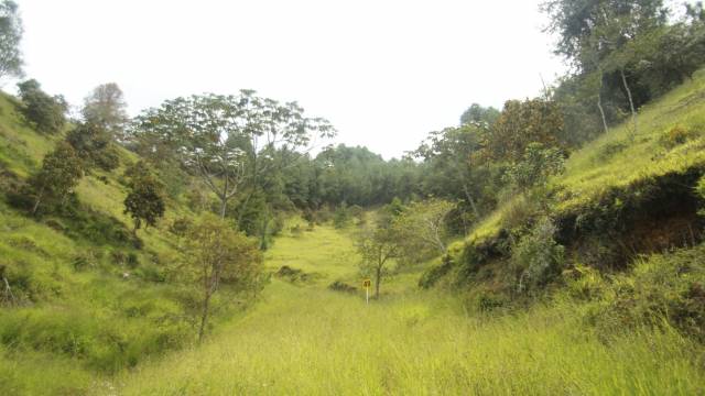 Lotes en Guarne, en unidad cerrada