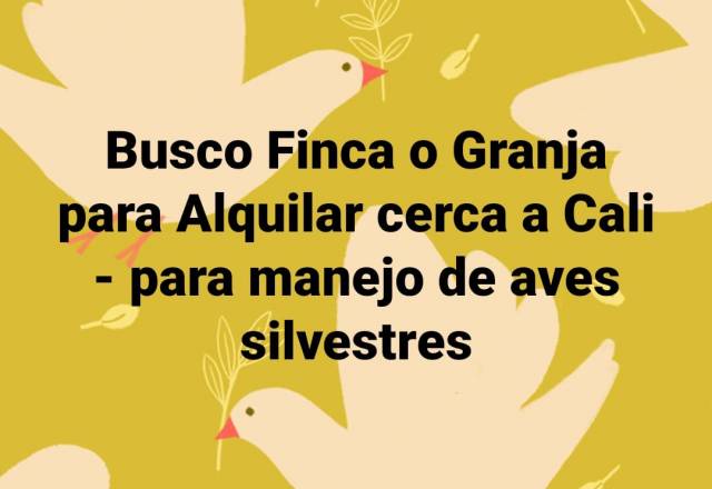 Se necesita Finca para Alquiler para manejo de Aves Silvestres