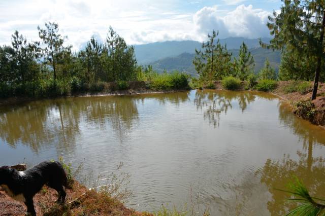 Vendo Finca 116 hectareas en Zapatoca