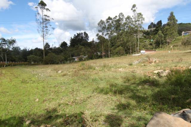 Lotes en Guarne, vereda La Pastorcita