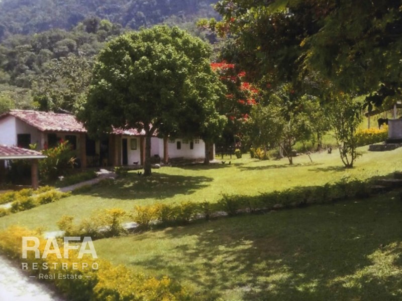 Finca en venta, Fredonia, Vereda La Maria, El Zancudo, Unidad Abierta, 5 Habitaciones