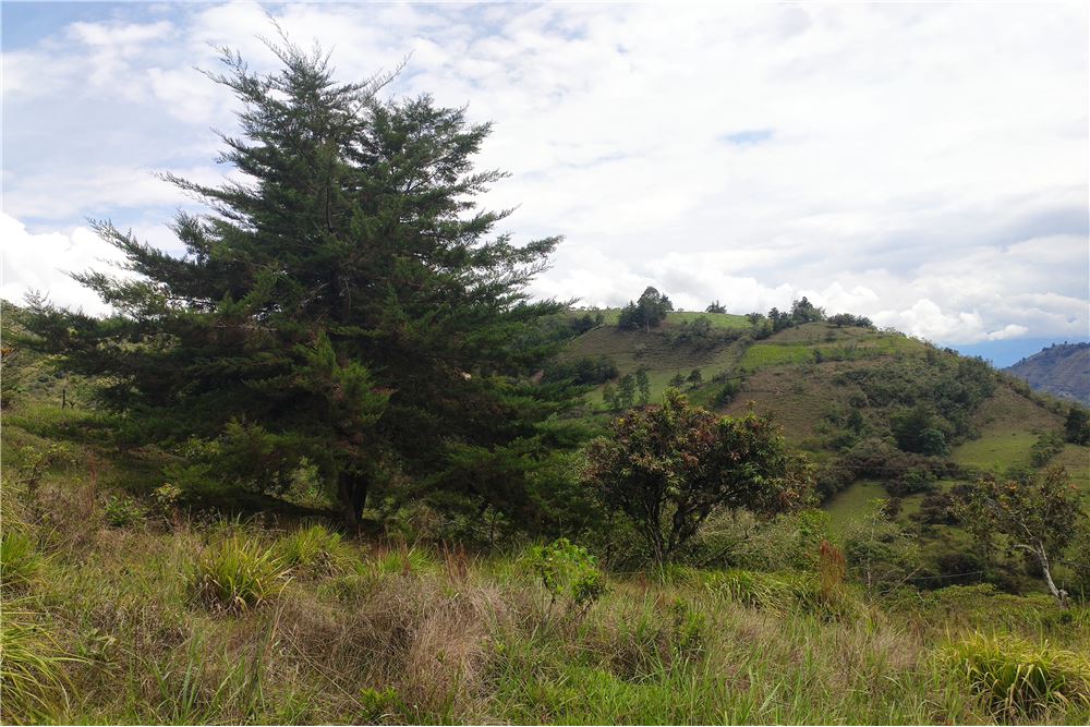 Venta Lote para proyectos ecológicos y turísticos