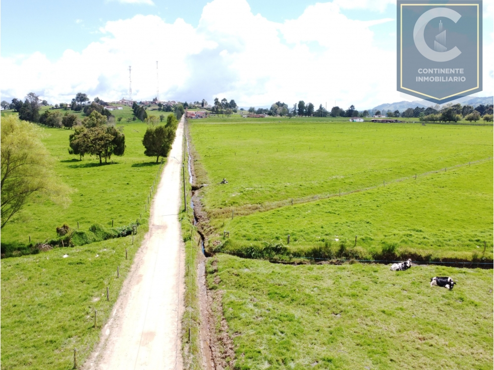 Venta lotes Proyecto Llano Verde Ovejas San Pedro de los Milagros