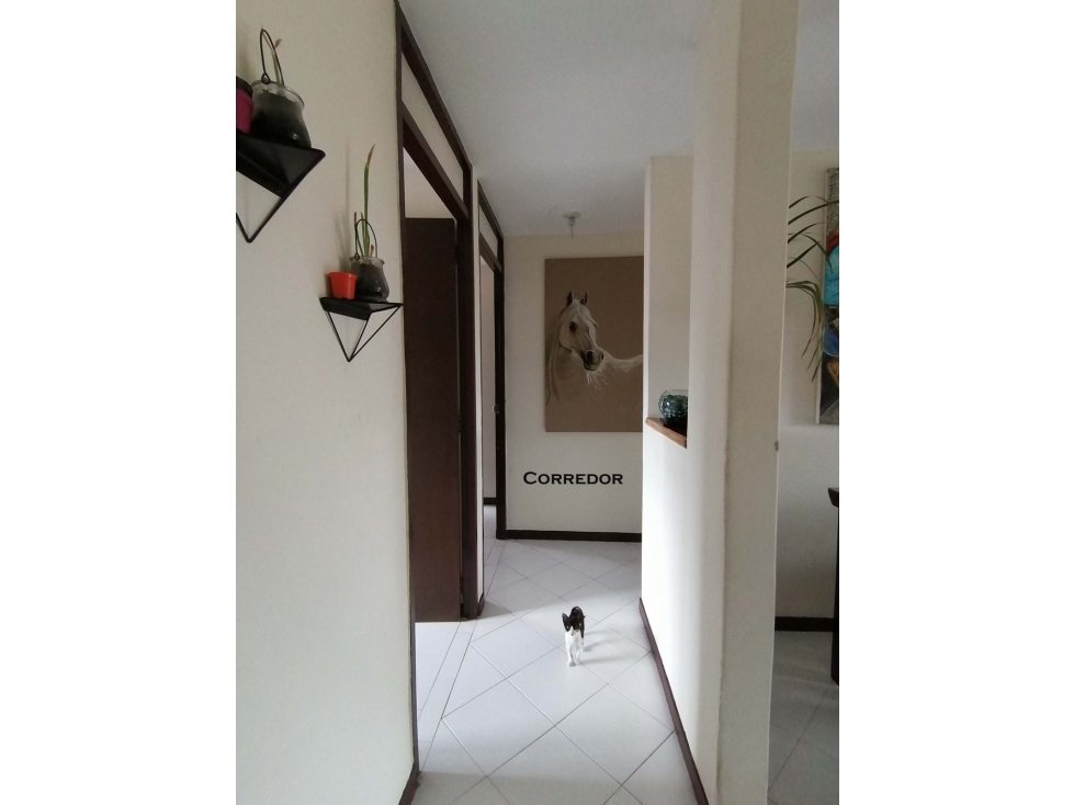 Venta Apartamento Bello Horizonte Robledo