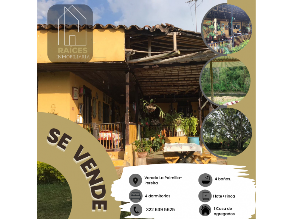 Se vende Finca con 3 posibles negocios