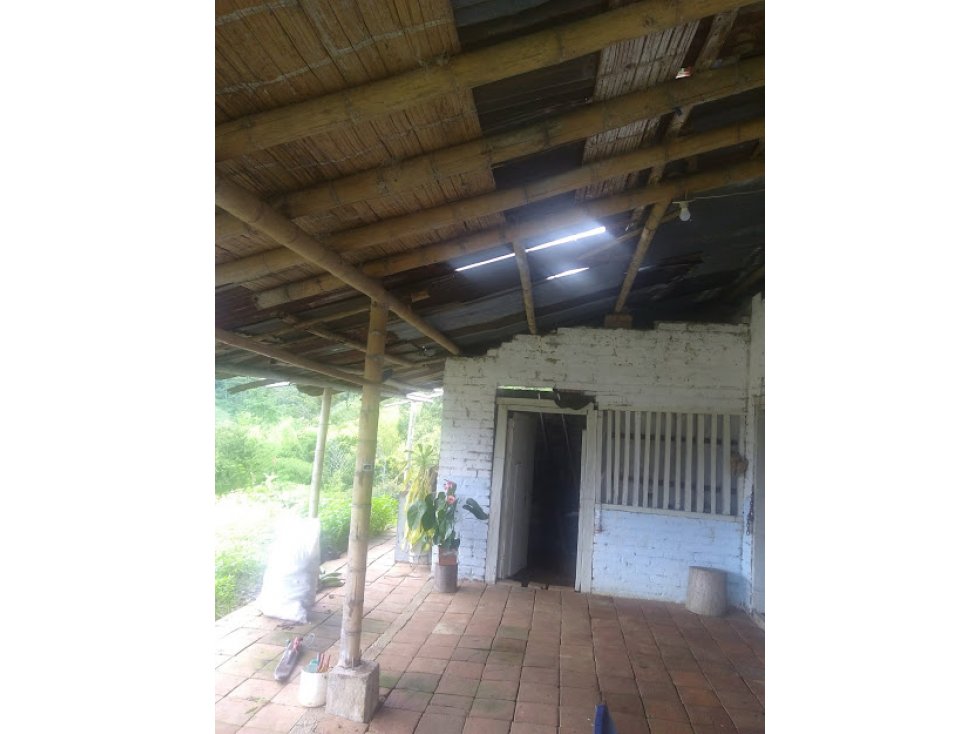 FINCA EN VENTA BELALCAZAR, CALDAS.