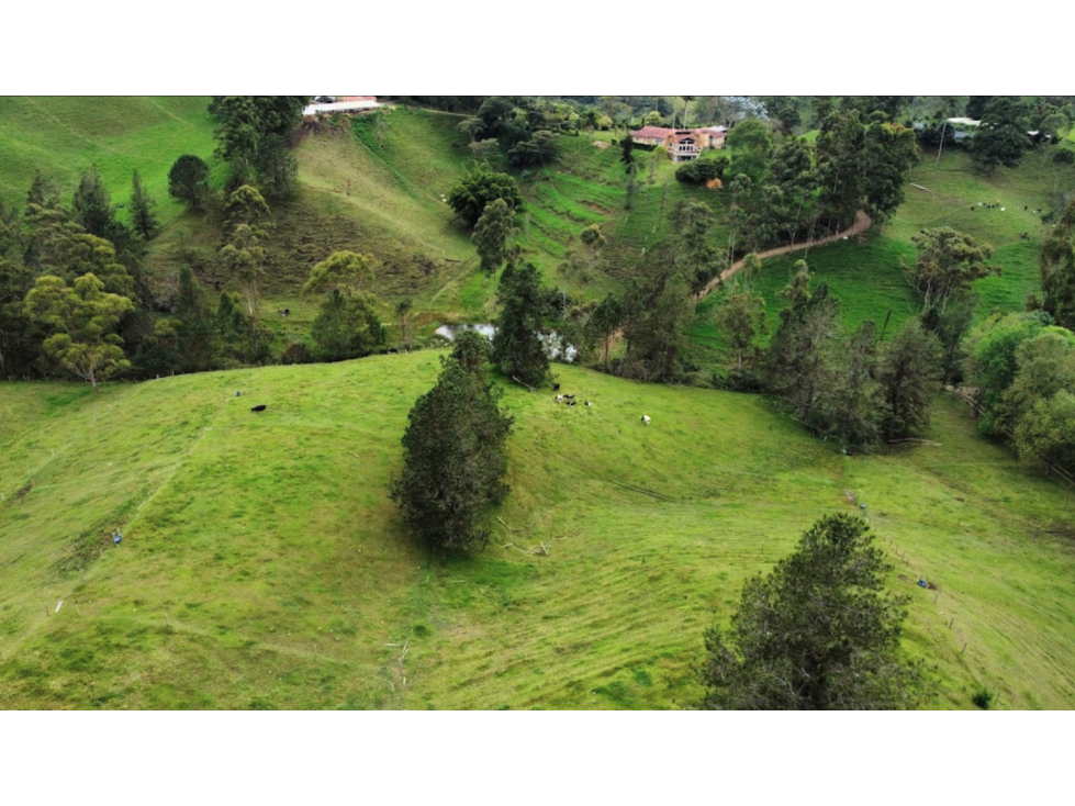 Lotes en El Retiro, Vereda Pantanillo