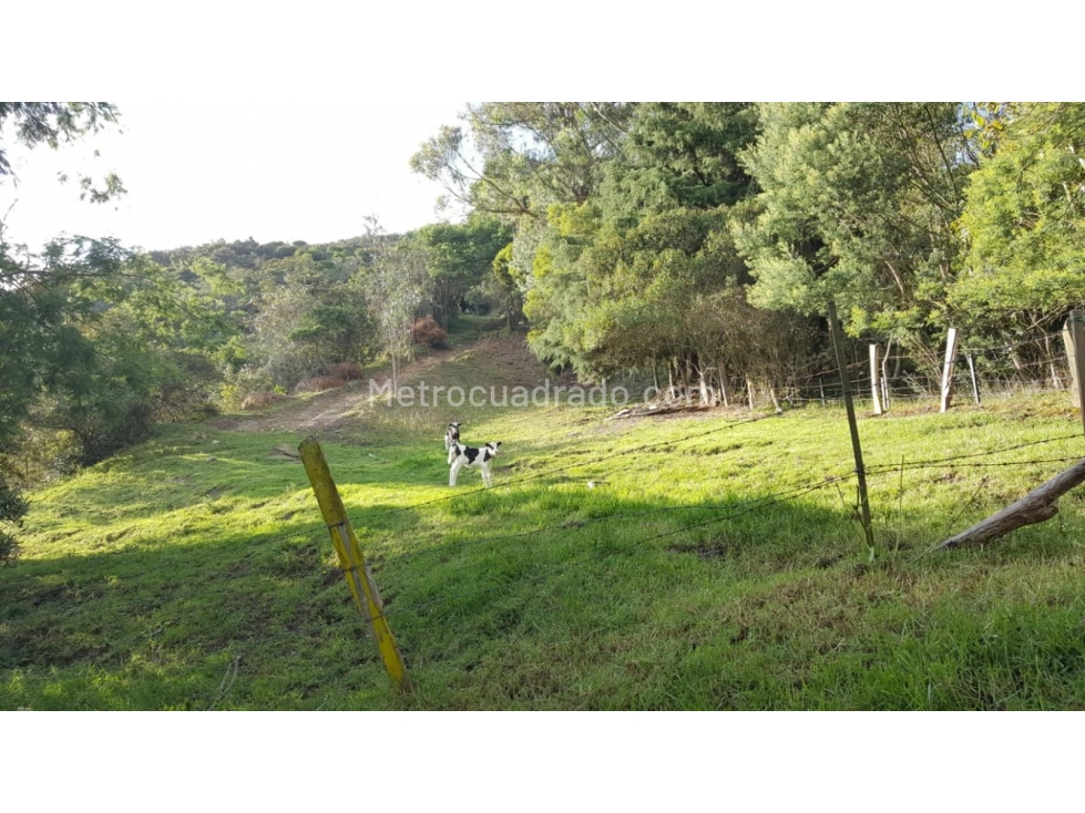 Lote en Venta, La Calera