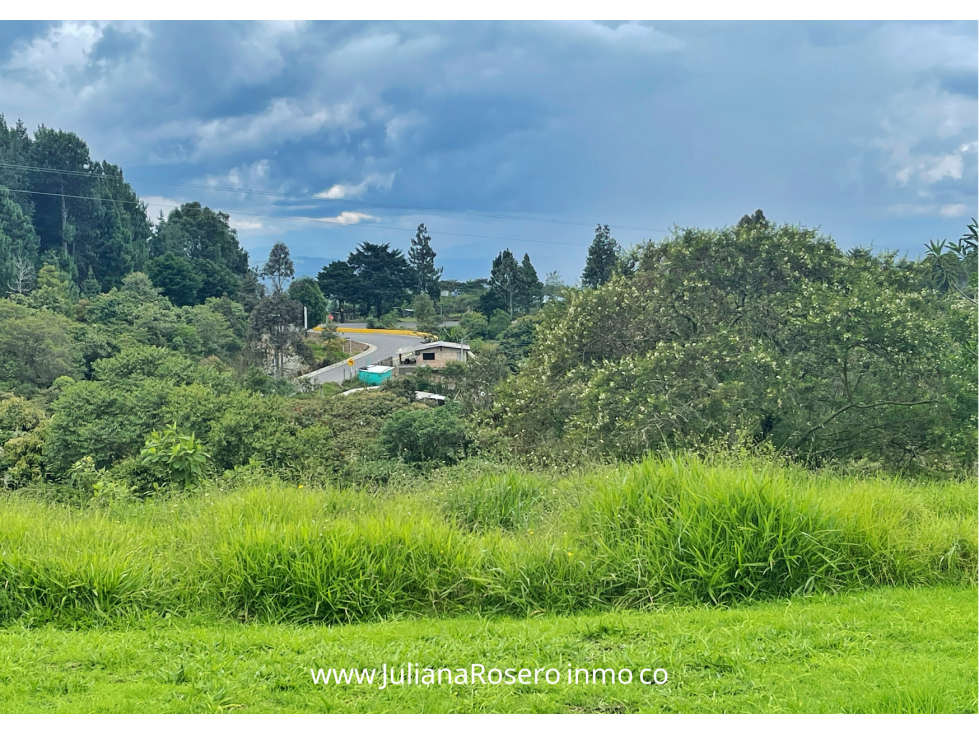 VENDO/PERMUTO 2 HECTAREAS VÍA A TOTORÓ (HERMOSA VISTA)