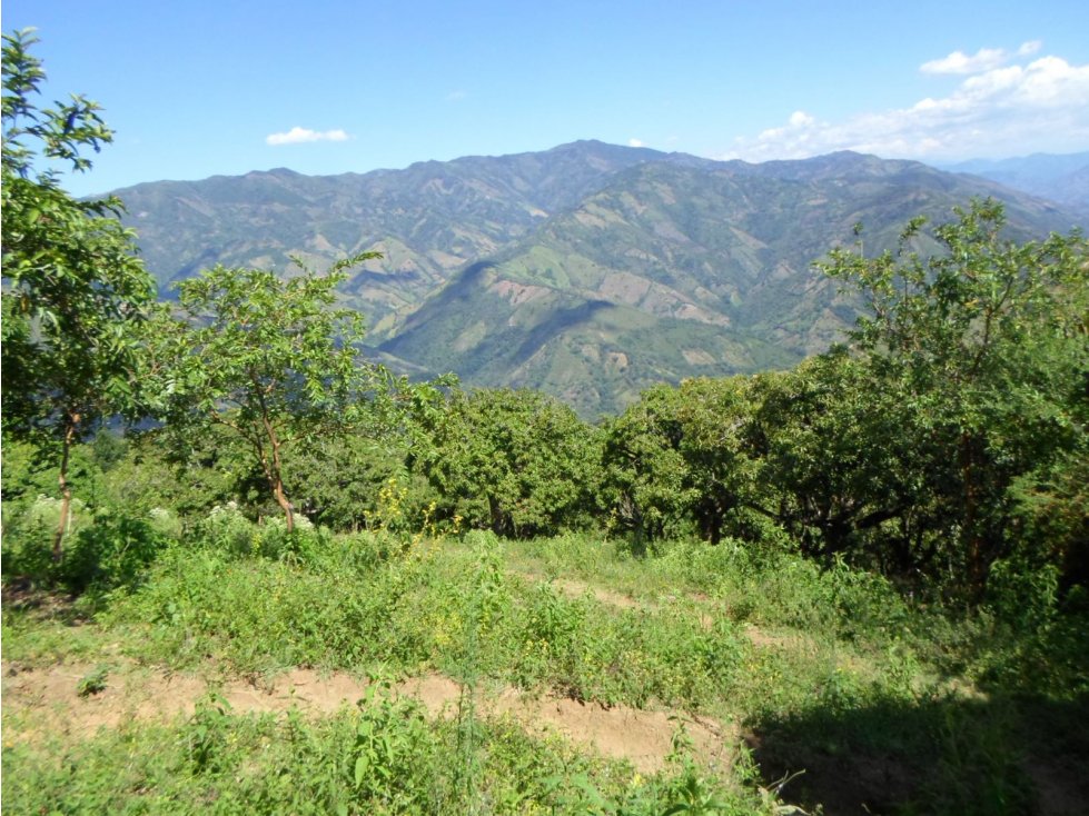 VENTA FINCA SANTA BÁRBARA, SUROESTE ANTIOQUEÑO