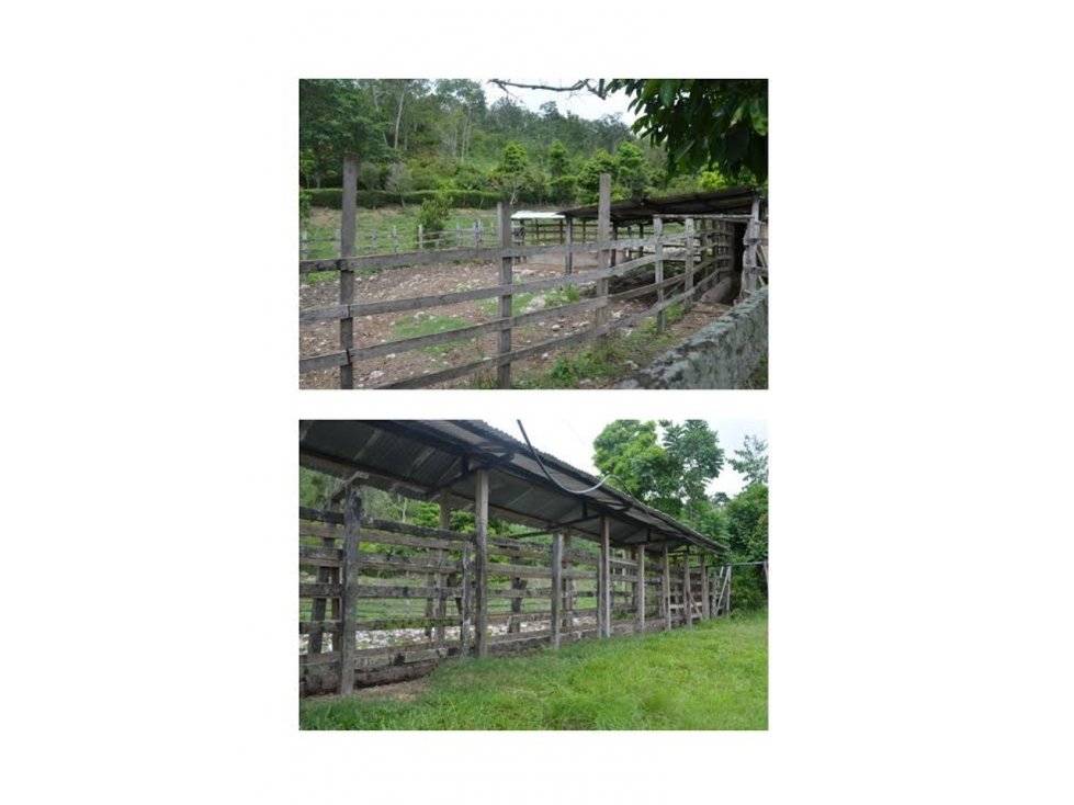 VENDO FINCA SANTA MARIA VDA SANTA ROSA  A $35.0000.000 HECTAREA