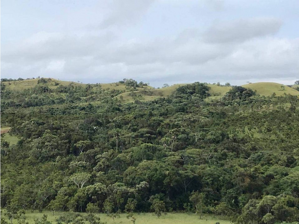 VENTA DE FINCA DE 3000 HECTAREAS A 25 MTOS PUERTO LLERAS