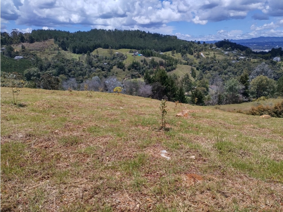 VENTA 2 LOTES RIO NEGRO CADA LOTE DE 5.000MST