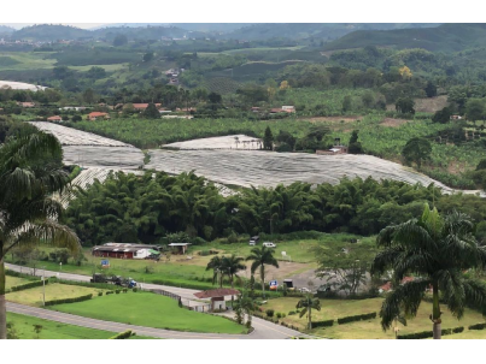 Venta Lote Vereda El Rosario, Chinchiná