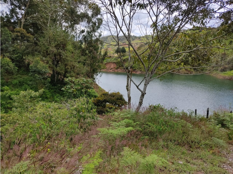 Venta de Lote Sector Vereda La Magdalena El Peñol