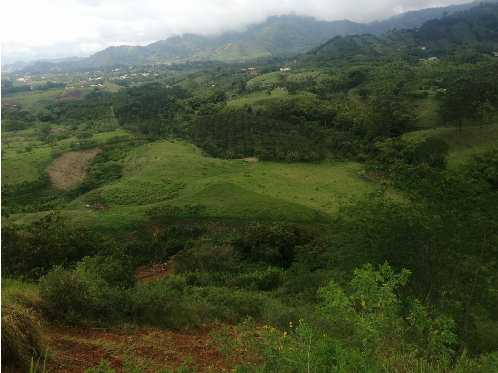 VENTA  LOTES COMBIA PEREIRA