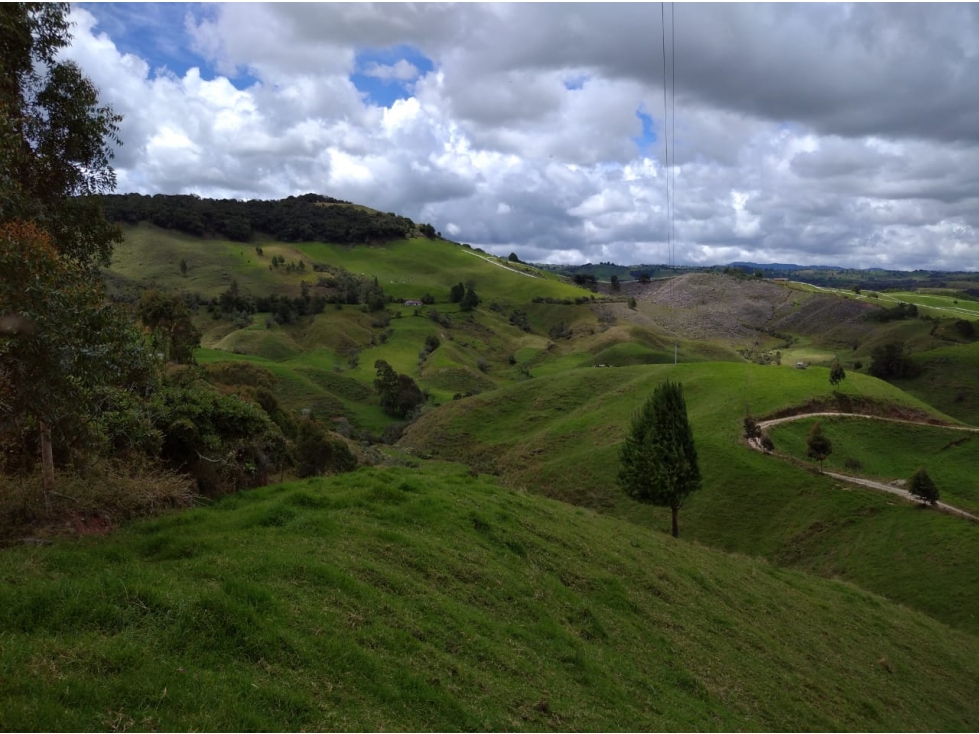 Venta Finca en Santa Rosa de Osos