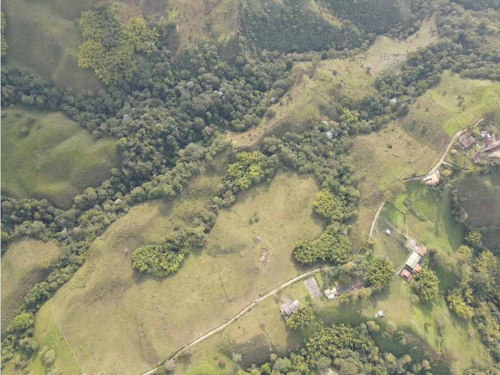 SE ARRIENDA AMPLIA FINCA  AGRÍCOLA EN FILANDIA - QUINDÍO