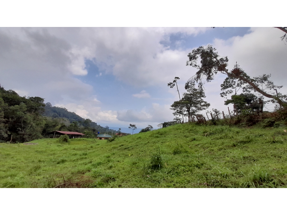 Lote en Vereda Antioquia (El Colegio)