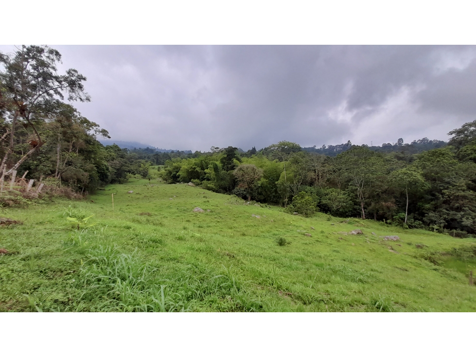 Lote en Vereda Antioquia (El Colegio)