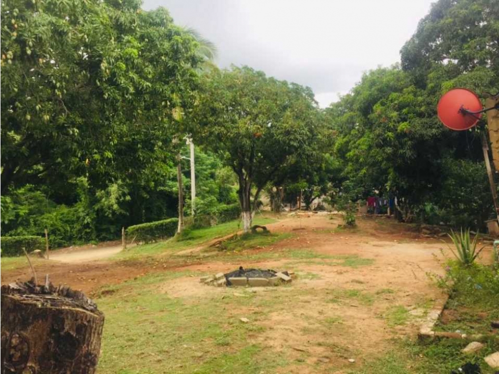 Finca de 1 hectárea a orilla de carretera vereda masinga o11