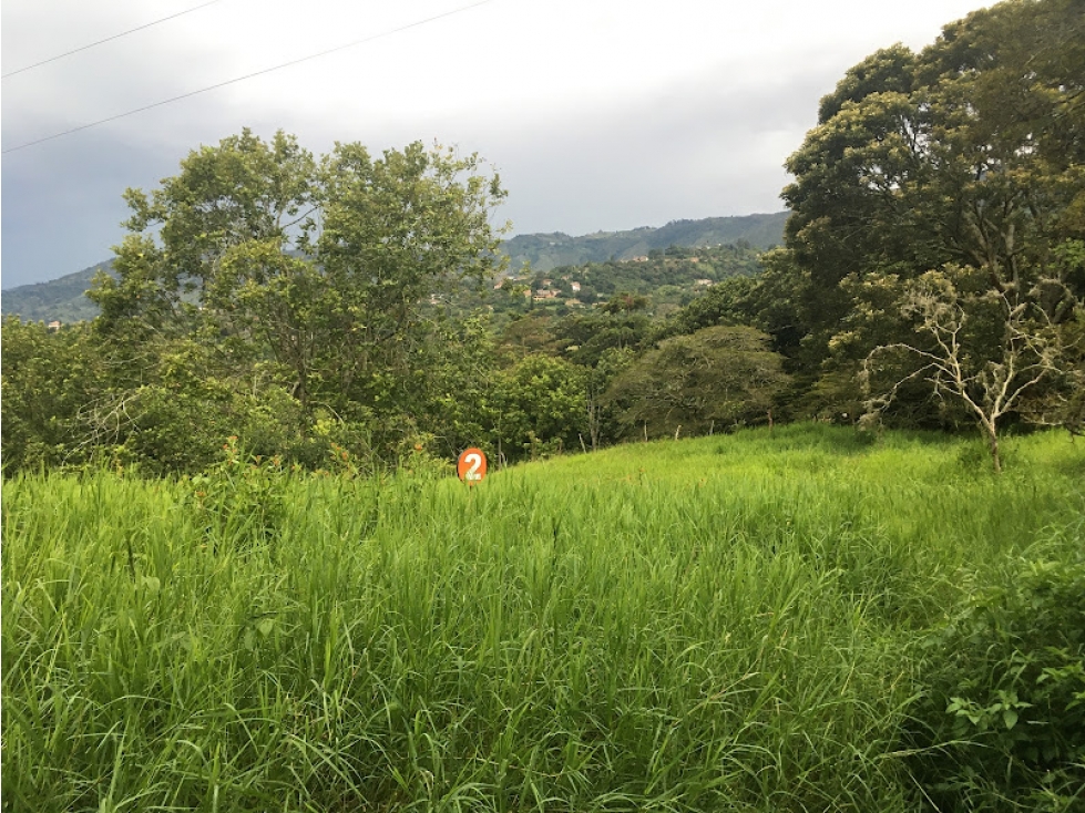 VENTA DE LOTES EN PARCELACION VEREDA EL TOTUMO GIRARDOTA