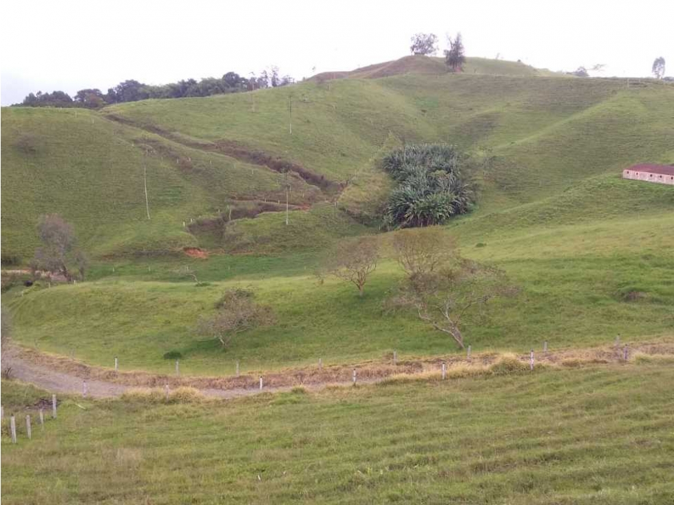 Finca ganadera para la venta en Sevilla Valle con buenas instalaciones