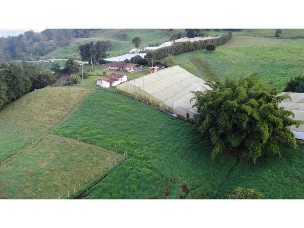 LOTES EN RIONEGRO BIEN UBICADOS CON MUY BUENA TOPOGRAFIA