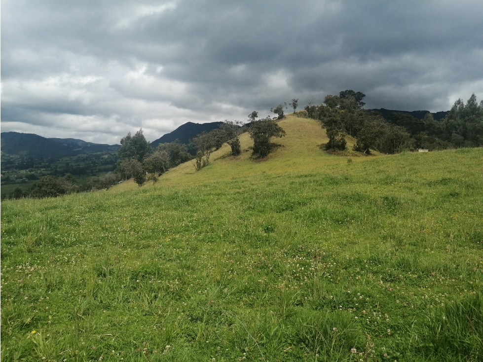 HERMOSA FINCA VEREDA SECTOR SAN ISIDRO ZIPAQUIRÁ