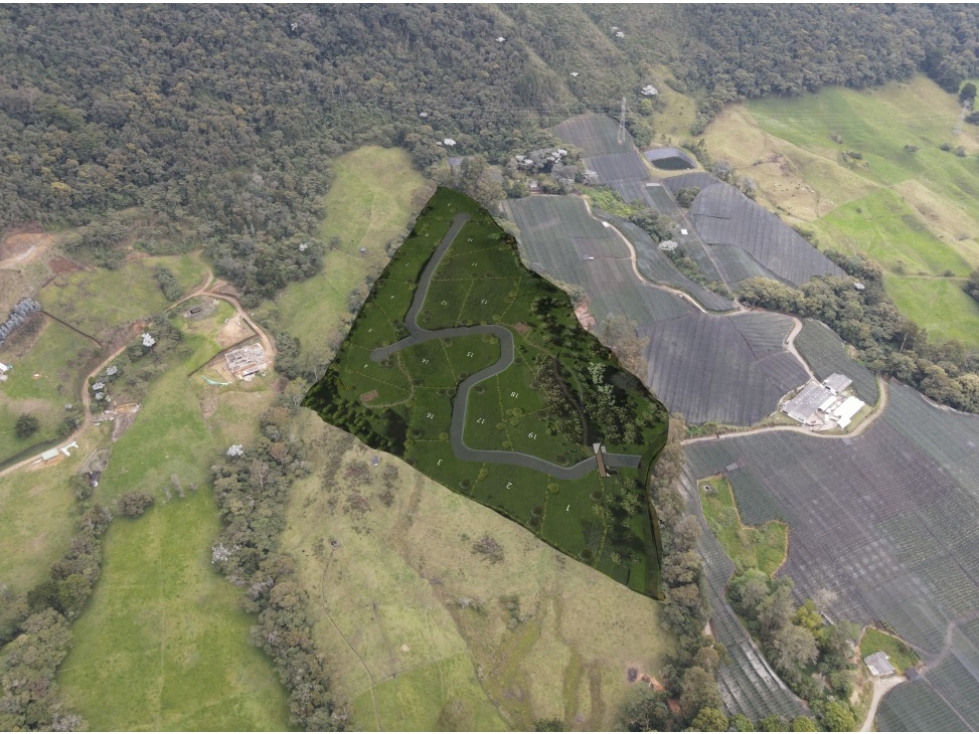 SE VENDEN ESPECTACULARES LOTES EN LA CEJA ,ANTIOQUIA