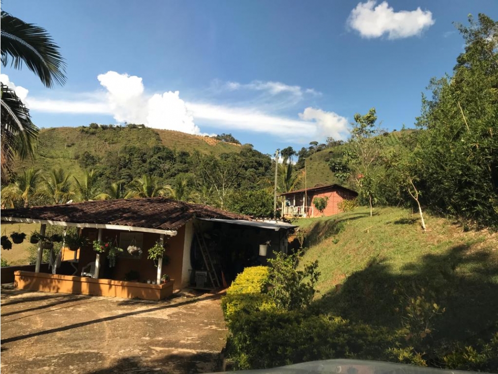 ESPECTACULAR FINCA EN VEREDA PIEDRAS GORDAS SANTO DOMINGO ANTIOQUIA