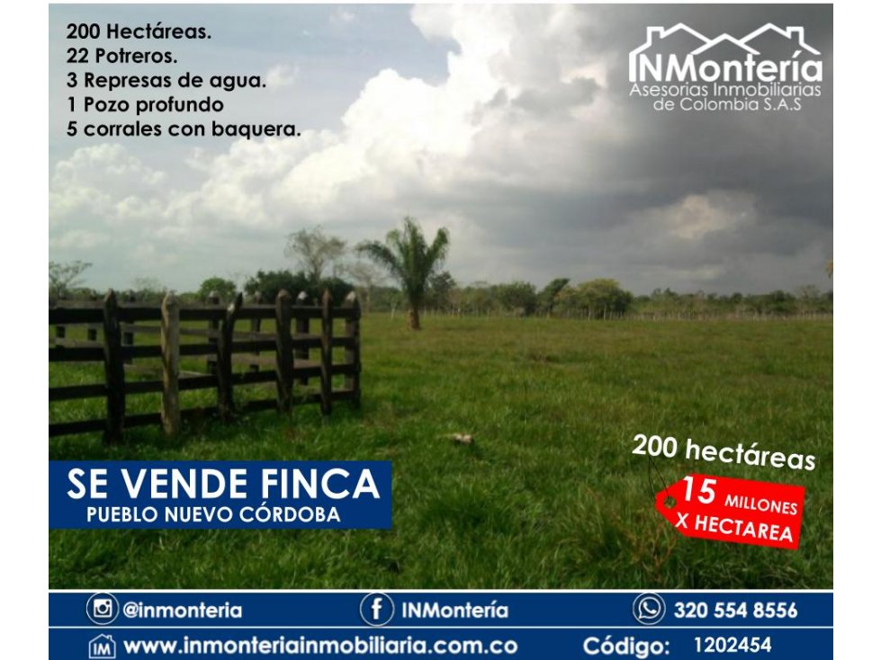 SE VENDE LOTE EN PUEBLO NUEVO - BETULIA