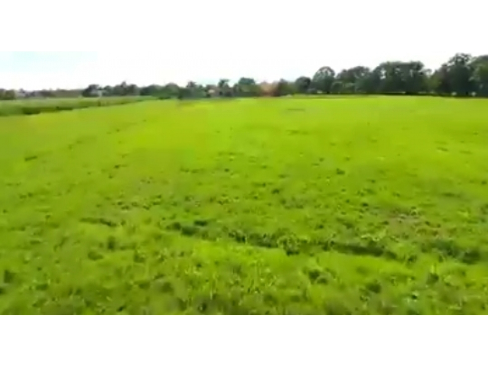 Venta De Lote Comercial de 37.298 M2 En Barrio El Ceibal Monteria