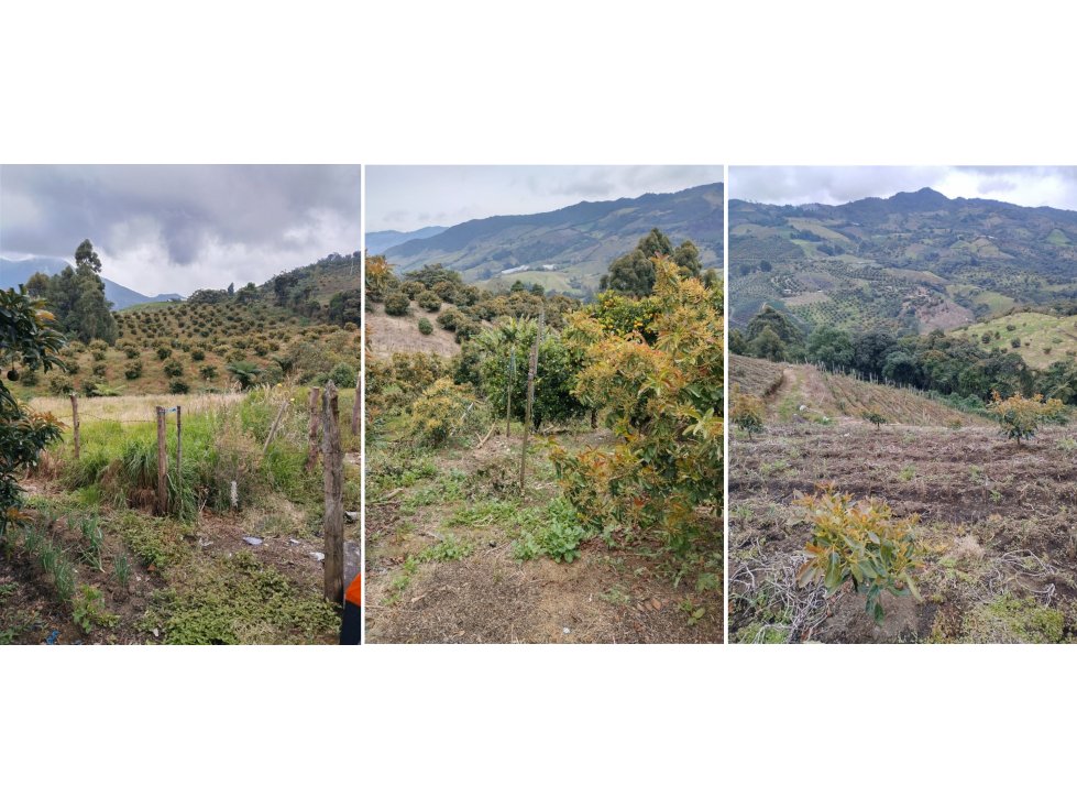 Finca en venta Sonsón Antioquia 19 HA MZ