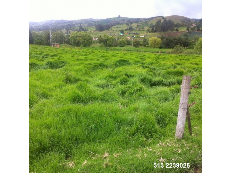 VENDO FINCA EN CHOCONTA ?CUNDINAMARCA PARA FLORA,  (REF. F/104)