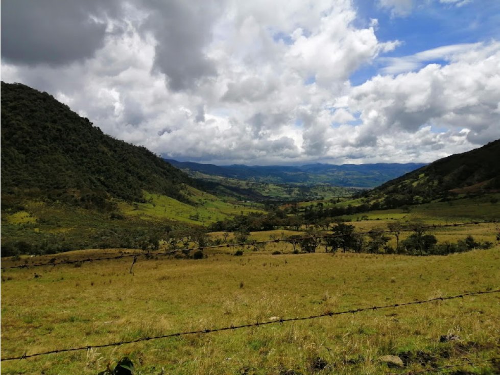 Vendo  finca con aguas termales