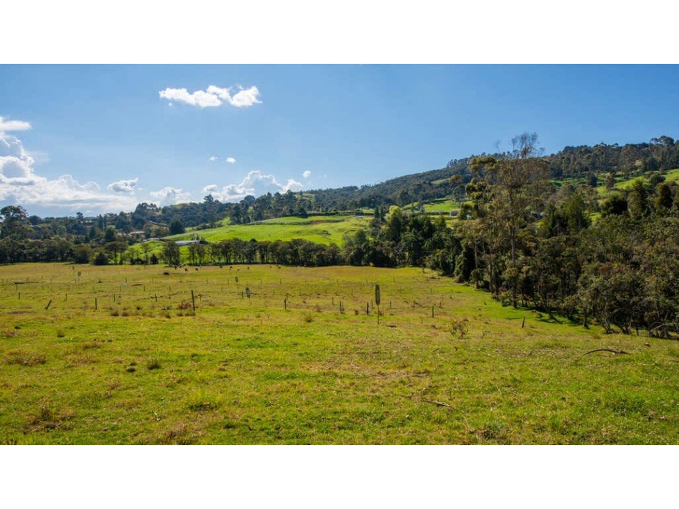 Lote para la venta en el Alto de las Palmas sector Acuarela