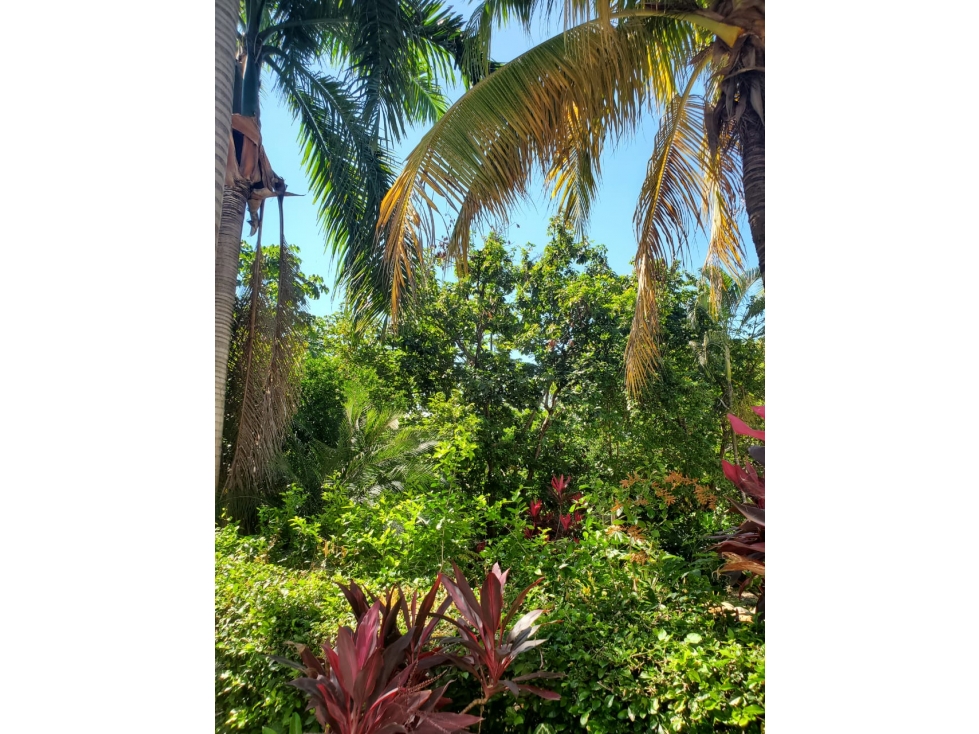 Casa Quinta Hacienda La Estancia Melgar - Tolima