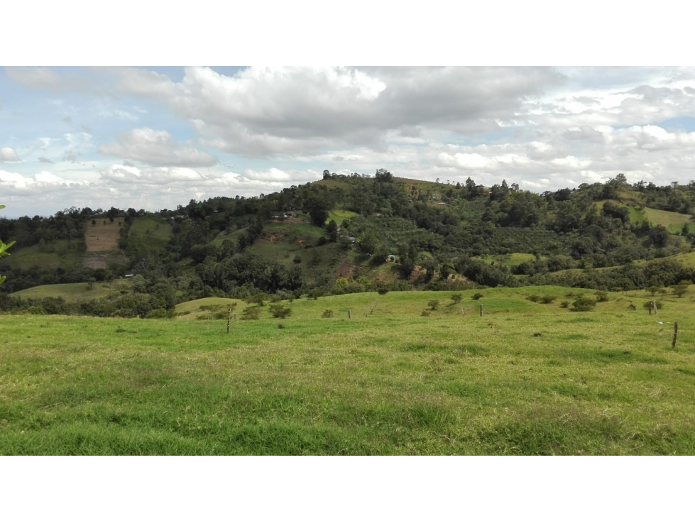 VENTA FINCA AGUACATERA CERCA A POPAYAN