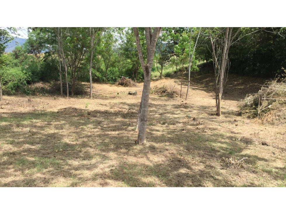 Lote en Venta Santa Fe de Antioquia.