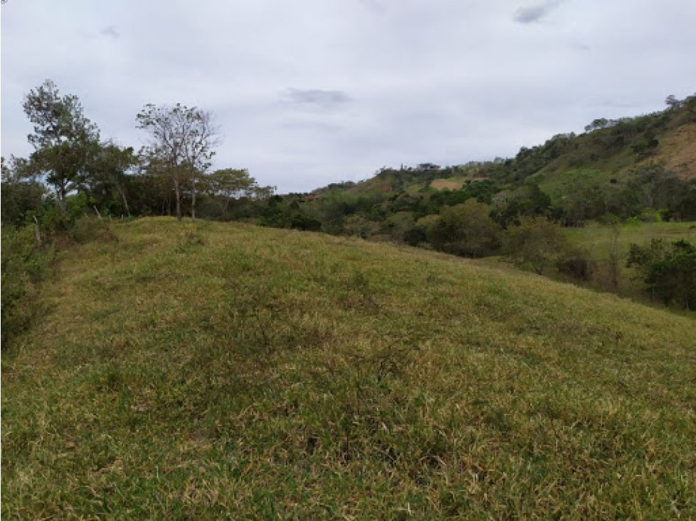 Maat Vende lote Quebrada negra, 71085 m2-$530 Millones