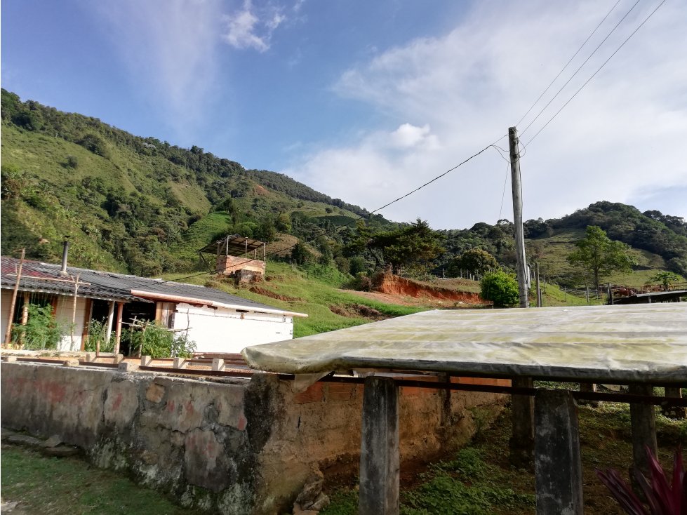 Venta Finca Productiva Concordia Suroeste Antioqueño