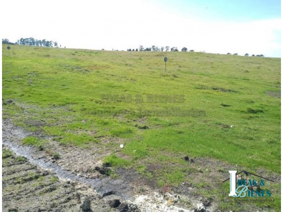 Lote En Venta Envigado Alto De Palmas