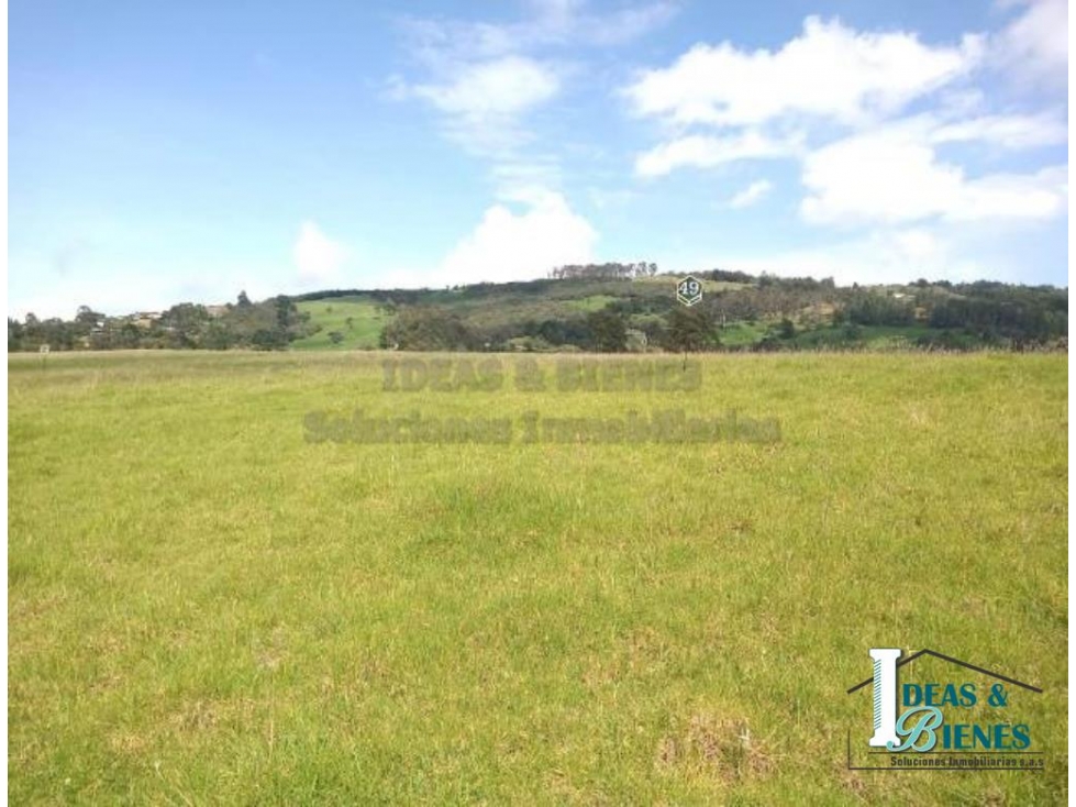 Lote En Venta Envigado Alto De Palmas
