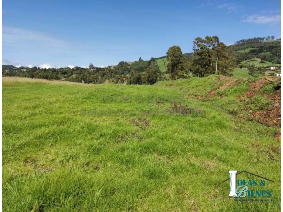 Lote En Venta Envigado Alto De Palmas