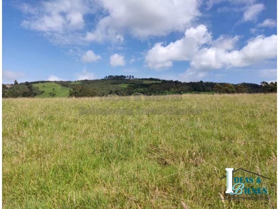 Lote En Venta Envigado Alto De Palmas