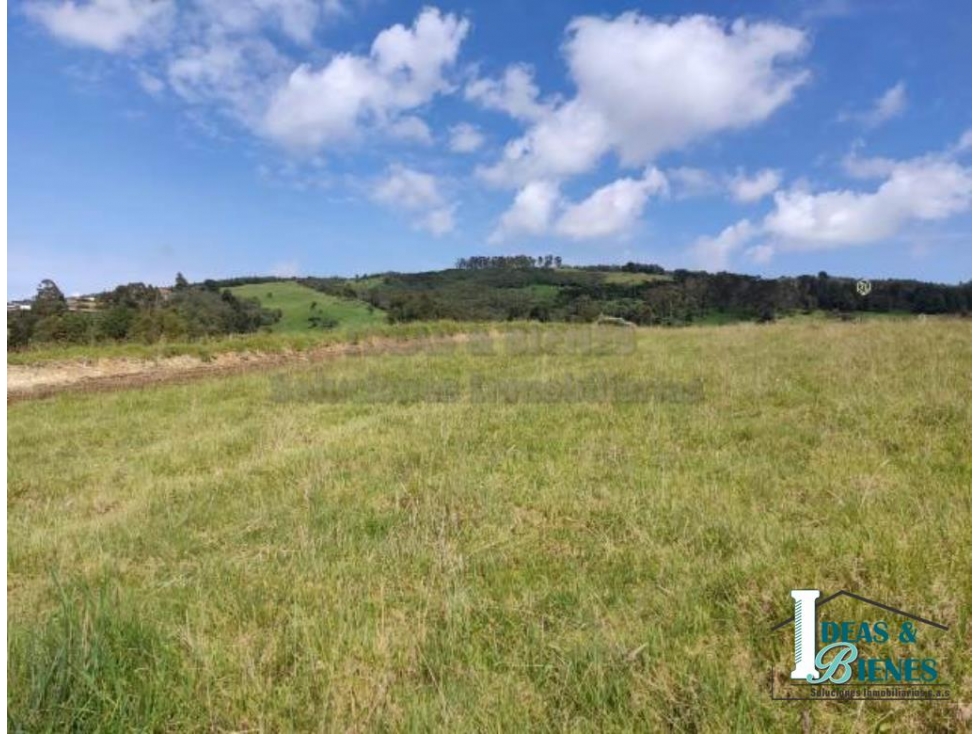 Lote En Venta Envigado Alto De Palmas