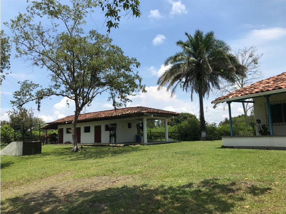 FINCA en VENTA en Quimbaya Quindio